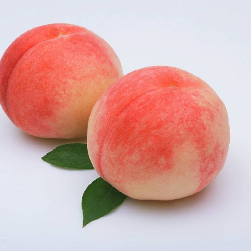 桃树苗，白香桃，脱骨桃，果大味甜，单果重300-400克。